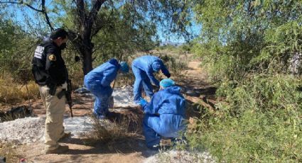 FGJ-Sonora inicia pruebas de ADN para identificar restos óseos hallados en Hermosillo y Guaymas