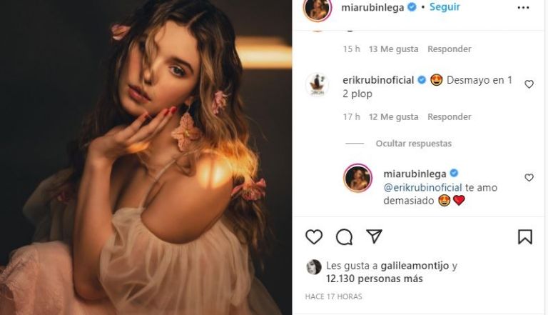 Comentario de Erik Rubín 