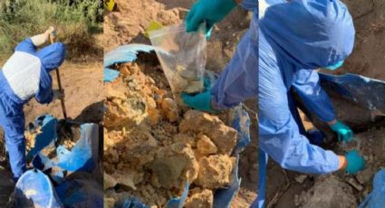 Confirma FGJE que no hay restos humanos en tambos encontrados por colectivo en Etchojoa