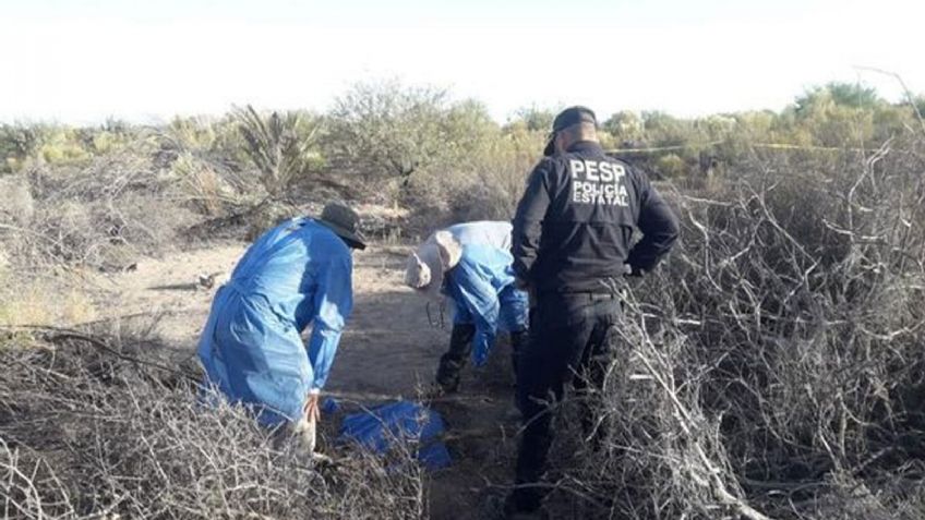 Confirma FGJE hallazgo de 14 fosas clandestinas en Miguel Alemán; definirán número de cuerpos