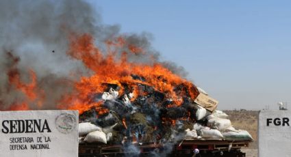 Golpe al crimen en Sonora: Durante octubre, Sedena incinera 9 mil metros cuadrados de mariguana