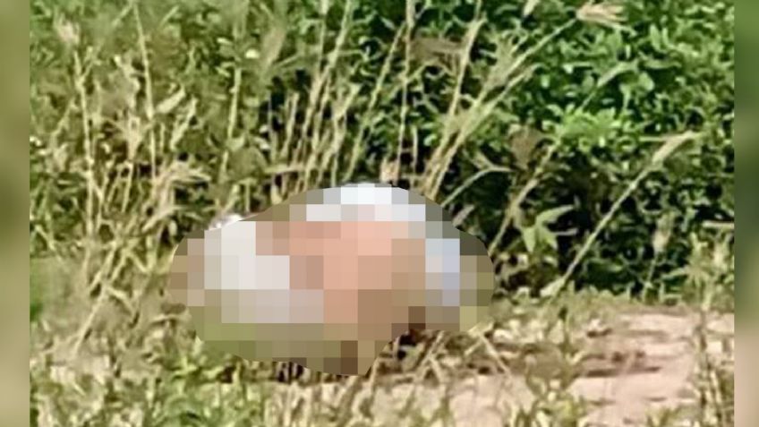 Pareja es asesinada y abandonada en predio baldío de Guerrero; fueron torturados