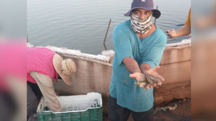 Cajeme: Pese a dificultades, acuacultura pronostica buen año de producción