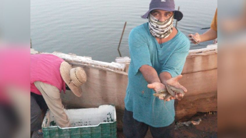 Cajeme: Pese a dificultades, acuacultura pronostica buen año de producción