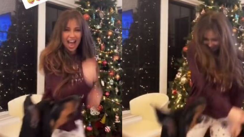 Thalía es 'atacada' por su mascota cuando grababa un VIDEO; la atrajó la ropa de la cantante