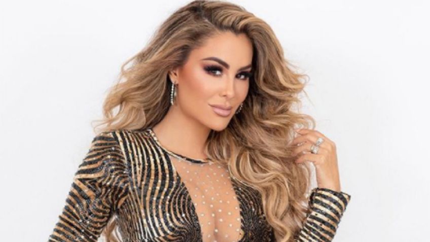 Ninel Conde seduce a todo Instagram al modelar infartante 'look' desde el escenario: "Ay Dios"