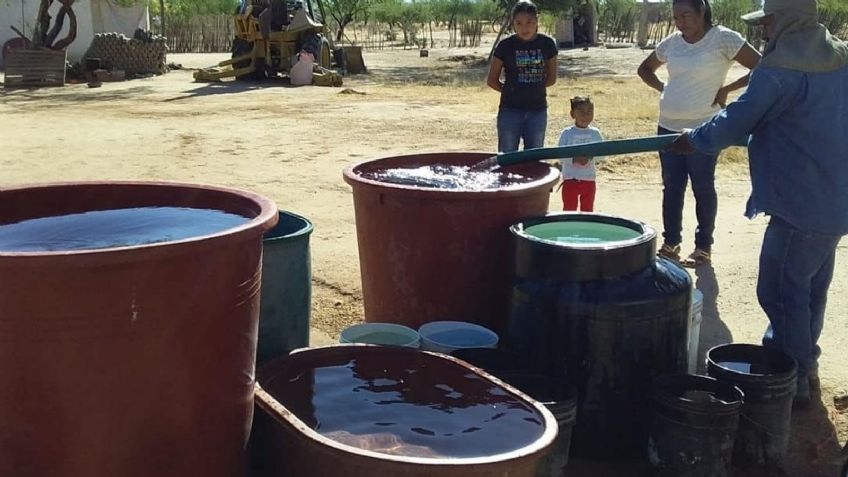Navojoa, en alerta tras el incremento de casos de dengue; representa el 40% de la Región del Mayo