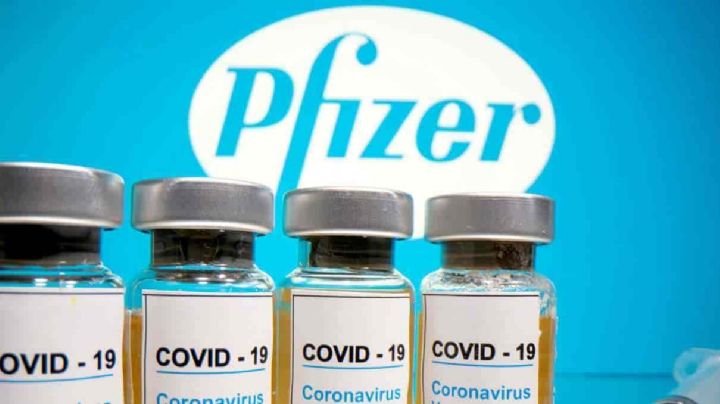 Director de Pfizer prevé que la pandemia por Covid-19 se prolongue hasta 2 años más