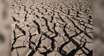 "Debemos sacar agua hasta debajo de las piedras": Advierte Adán Augusto López por sequía en Sonora