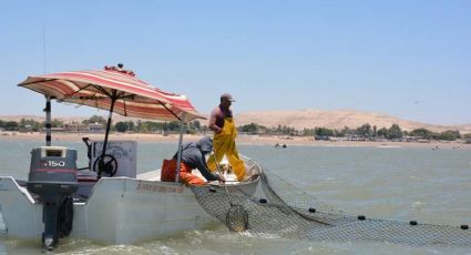 Continúa operativo de búsqueda de joven pescador desaparecido en Bahía de Kino