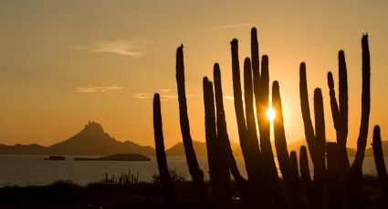 Precaución en Nochebuena: Frente frío traerá bajas temperaturas este 24 de diciembre en Sonora