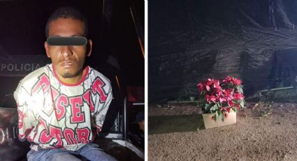 Quiso llevarse flores de nochebuena de un vivero en Hermosillo, pero es atrapado