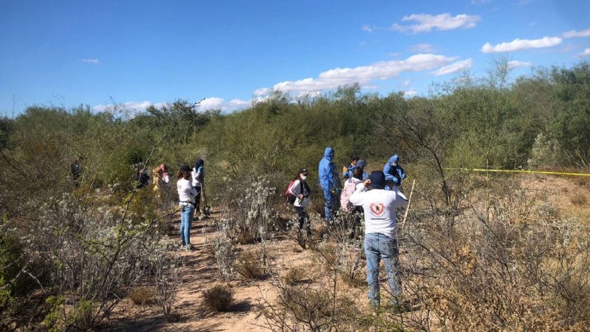 Colectivo de búsqueda encuentra par de cuerpos en fosa clandestina en Guaymas