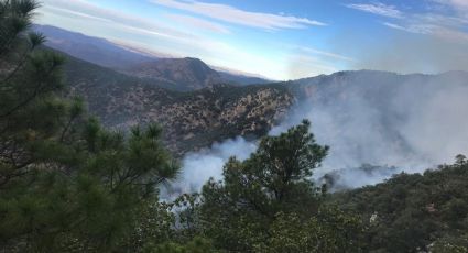 Incendio afecta la sierra alta de Aconchi; autoridades trabajan en el "Cajón del Infierno"
