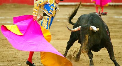 Juez ordena suspender corridas de toros en Plaza México; autoridades pueden impugnar