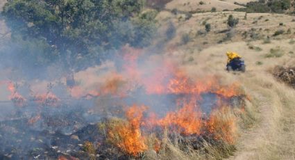En medio de incendio forestal de Aconchi, surge otro en Álamos; van 31 hectáreas afectadas