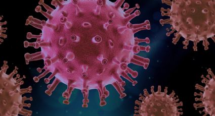 Coronavirus: Experto de EU asegura que Ómicron es menos letal que la variante Delta