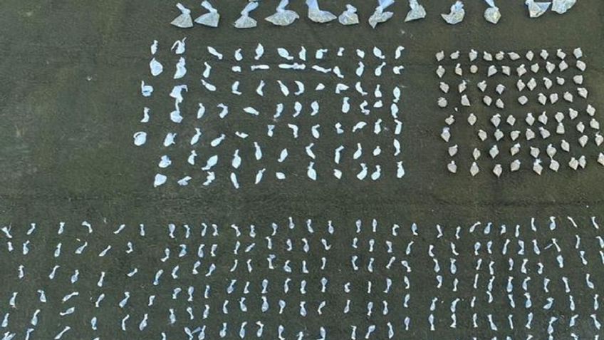 Golpe al crimen: Localizan arma de fuego, cartuchos y varias dosis de droga en Nogales