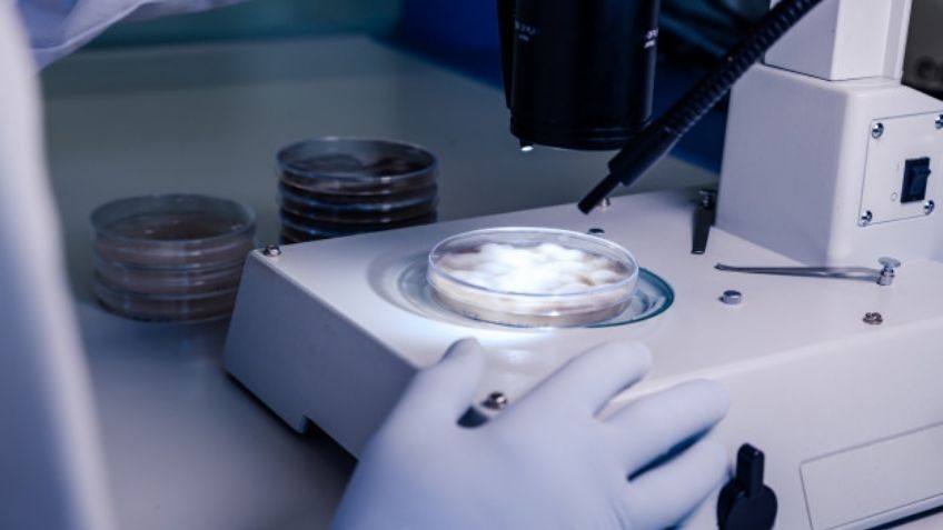 Covid-19: Expertos analizan una posible nueva variante del virus localizada en Jalisco