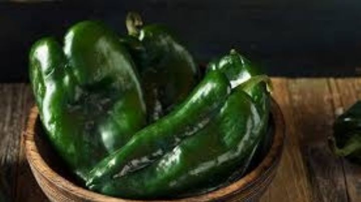Desde Puebla a tu cocina: Descubre los increíbles beneficios del chile poblano