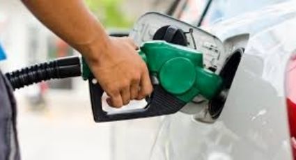 El precio de la gasolina y el diésel en estados de México hoy jueves 11 de febrero