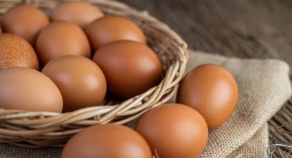 ¿Comes huevo todos los días? Conoce si este hábito es bueno o malo para tu salud