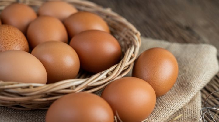 ¿Comes huevo todos los días? Conoce si este hábito es bueno o malo para tu salud