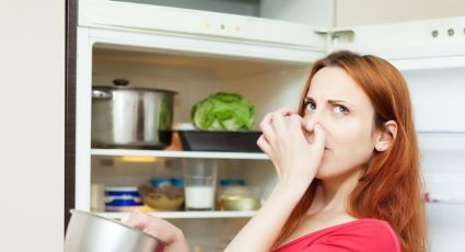 ¡No más olor a refrigerador! Libérate de los malos aromas con estos sencillos trucos