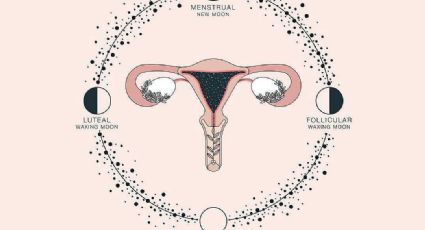 Calendario menstrual lunar: Descubre qué es y cómo puedes implementarlo en tu periodo