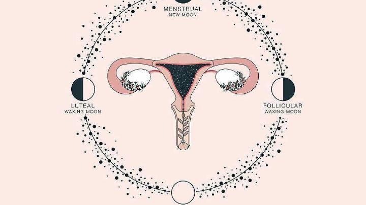 Calendario menstrual lunar: Descubre qué es y cómo puedes implementarlo en tu periodo