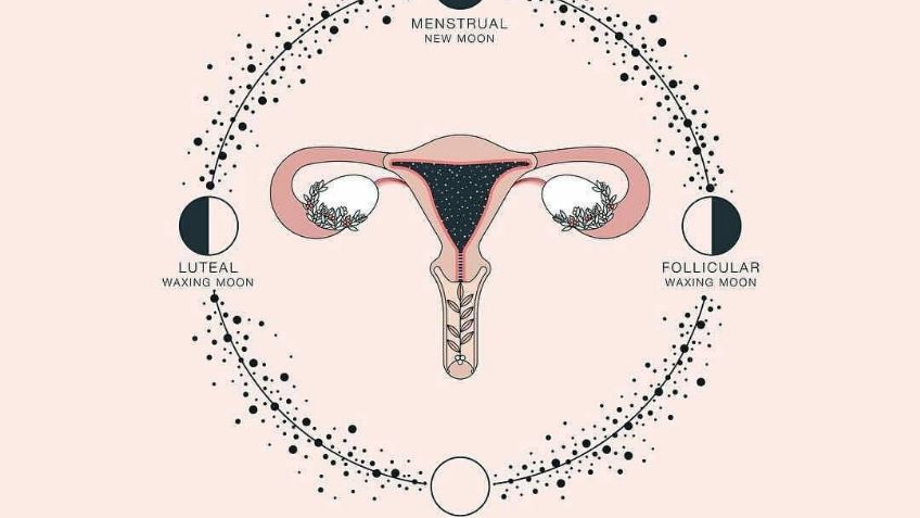Calendario menstrual lunar: Descubre qué es y cómo puedes implementarlo en tu periodo