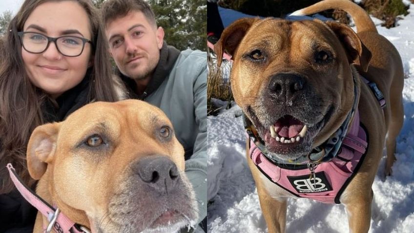 ¡Conmovedor! De esta manera familia despide a su perrita con cáncer terminal