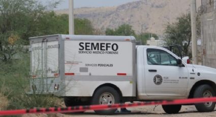 Conmoción en Nogales: Encuentran sin vida a integrante de Buscadoras de la Frontera