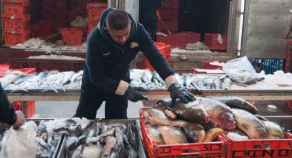 Sader y Conapesca garantizan abasto de peces y mariscos para cuaresma