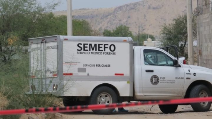 Conmoción en Nogales: Encuentran sin vida a integrante de Buscadoras de la Frontera