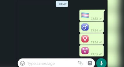 WhatsApp Web: Este maravilloso truco ayuda a descubrir los emojis ocultos