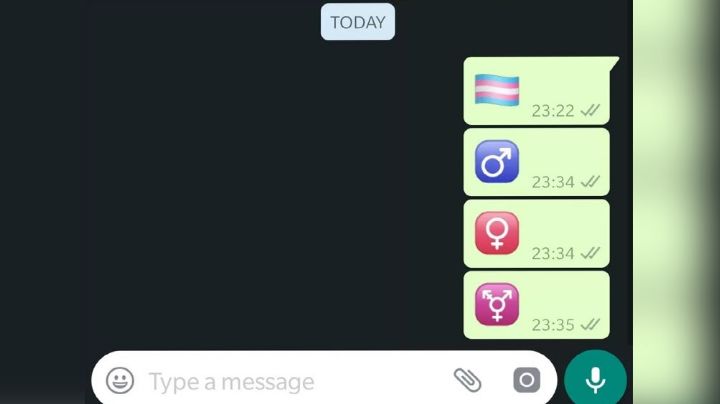 WhatsApp Web: Este maravilloso truco ayuda a descubrir los emojis ocultos