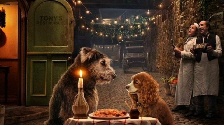 ¿Eres fan de los perros? Estas películas de Disney protagonizadas por ellos te encantarán