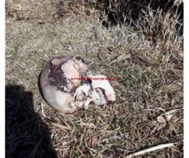 osamenta humana hallada detrás de un kínder de Toluca