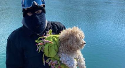 ¡Impactante historia! Este cachorro estuvo atrapado 4 días en un río de aguas heladas