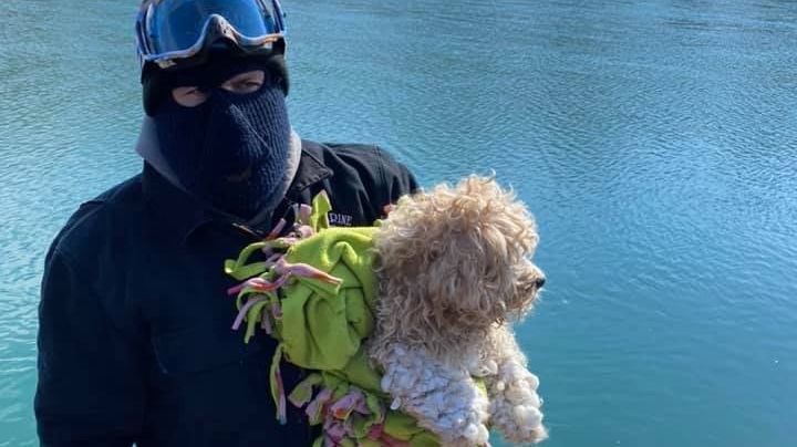 ¡Impactante historia! Este cachorro estuvo atrapado 4 días en un río de aguas heladas