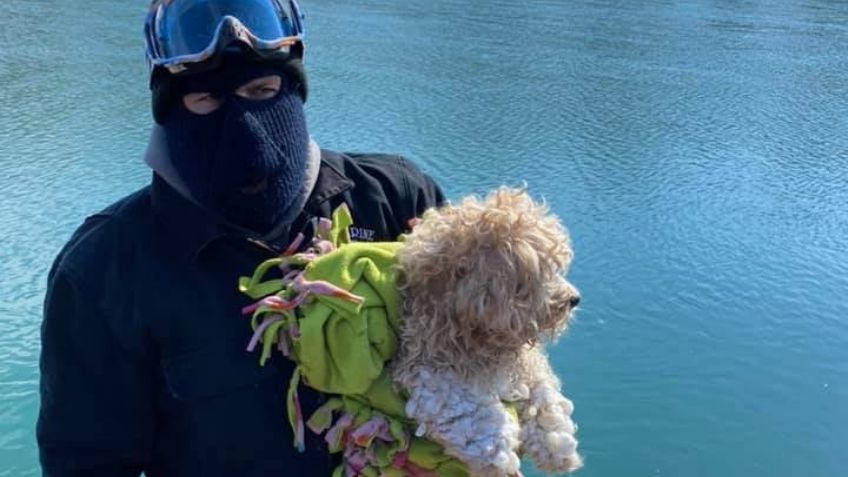¡Impactante historia! Este cachorro estuvo atrapado 4 días en un río de aguas heladas