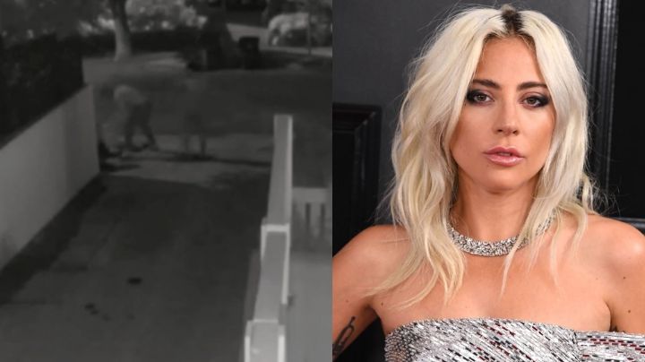 VIDEO: "Ayuda, estoy sangrando": Así fue el brutal asalto al paseador de perros de Lady Gaga