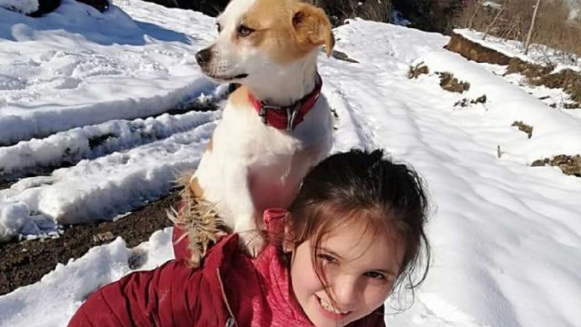 VIDEO: ¡Amor real! Niña camina kilómetros en el frío para ayudar a su mascota