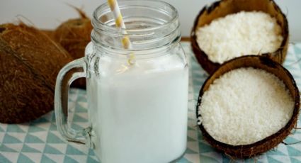 ¿Eres intolerante a la lactosa? Esta leche de coco es una excelente alternativa para ti
