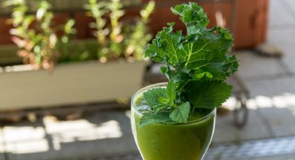 ¡Comienza una vida saludable! Este jugo verde incrementará tu ingesta de verdura