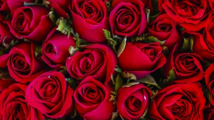 ¡El postre más romántico! Este flan de pétalos de rosas es perfecto para tu 14 de febrero