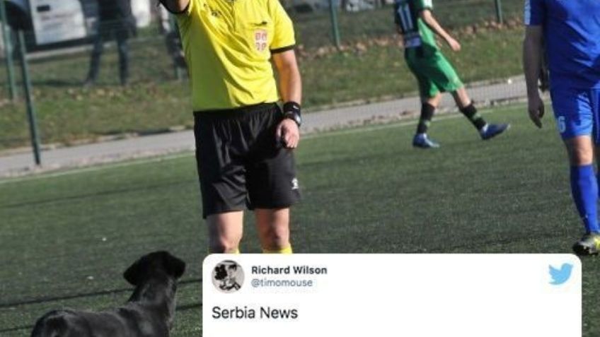 ¡Guau! Perro es expulsado por árbitro tras invadir un campo de futbol en Serbia