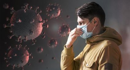 Despídete de las dudas: Descubre todas las diferencias entre un virus y una bacteria