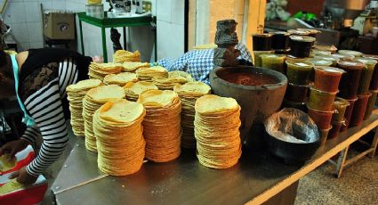 AMLO justifica alza en el costo de la tortilla: "El precio del maíz aumentó a nivel internacional"